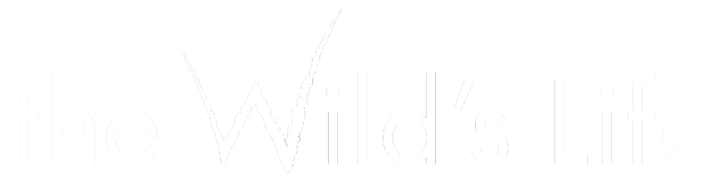 the Wild's Life